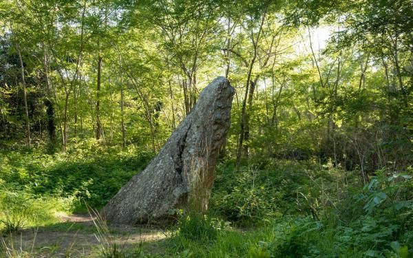 Menhir de la forêt d'Olonne - Les Sables d'Olonne